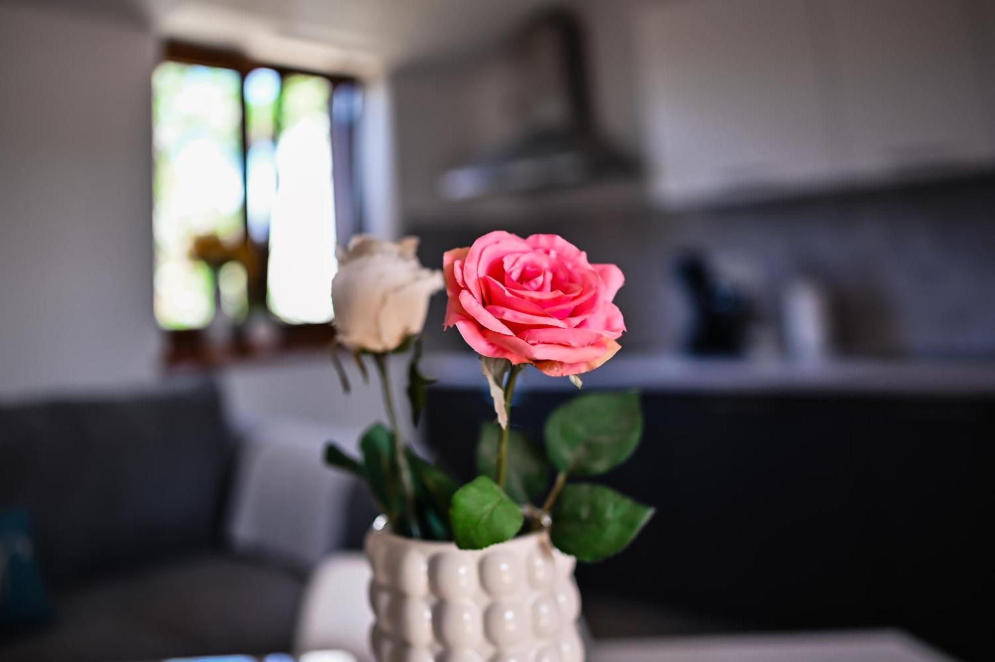 Apartment Barbara Bibinje Ngoại thất bức ảnh